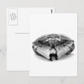 New England Rock Crab I Briefkaart (Voorkant / Achterkant)