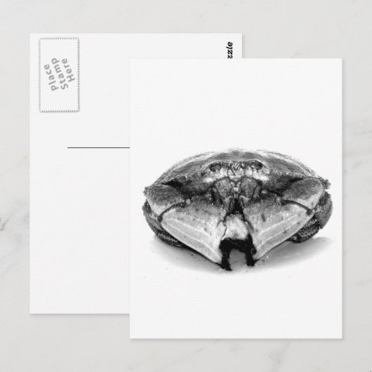 New England Rock Crab I Briefkaart (Voorkant / Achterkant)