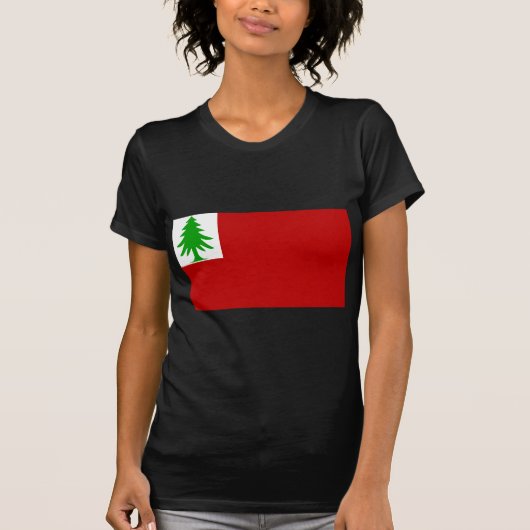 New England vlag T-shirt (Voorkant)