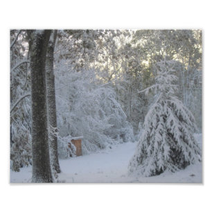 New England Winter Morning Foto Afdruk