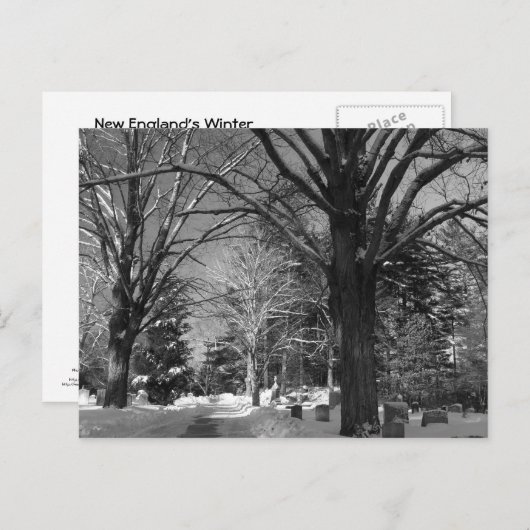 New England's Winter Briefkaart (Voorkant / Achterkant)