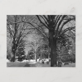 New England's Winter Briefkaart