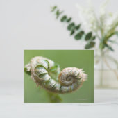 New Fern Branch Briefkaart (Staand voorkant)