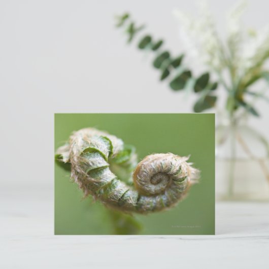 New Fern Branch Briefkaart (Staand voorkant)