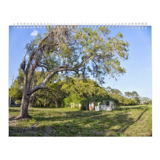 New For 2026 Pawleys Island Large Wall Calendar Kalender (Hoes)