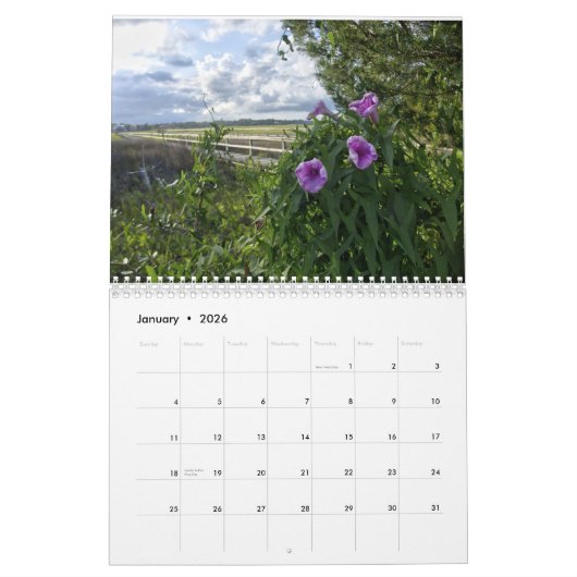 New For 2026 Pawleys Island Wall Calendar Kalender (Jan 2026)