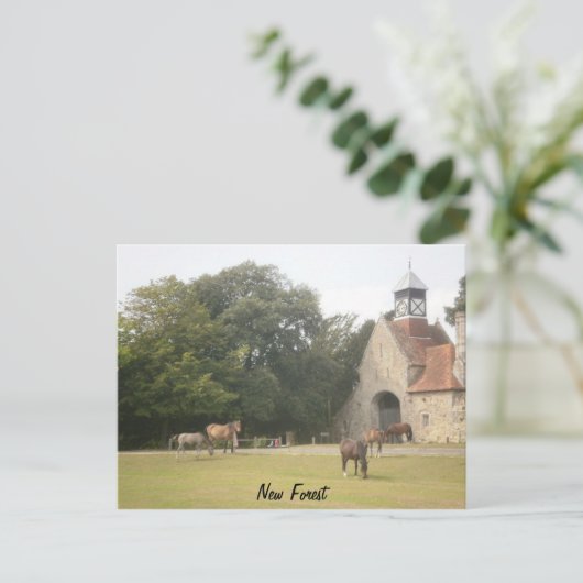 New Forest Hampshire Briefkaart (Staand voorkant)