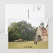 New Forest Hampshire Briefkaart (Voorkant / Achterkant)