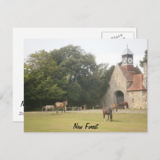 New Forest Hampshire Briefkaart (Voorkant / Achterkant)