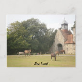 New Forest Hampshire Briefkaart (Voorkant)