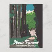 New forest Hampshire England Briefkaart (Voorkant)