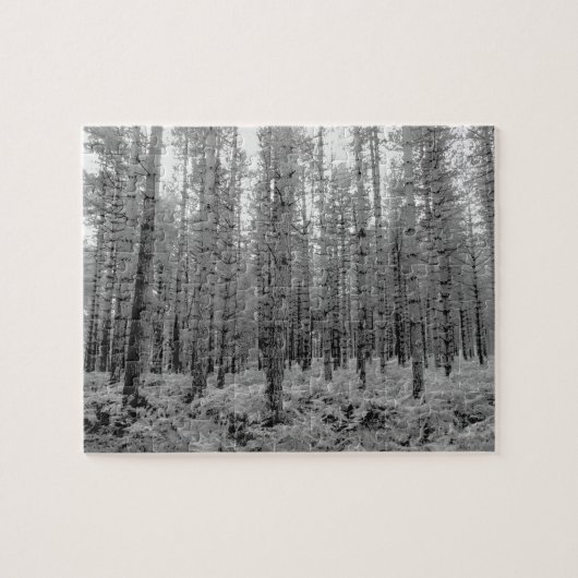 New Forest, Hampshire Pine Tree Forest Legpuzzel (Horizontaal)