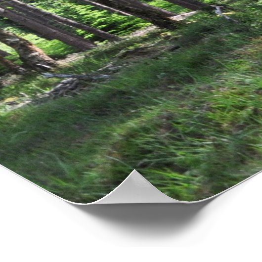 New Forest Landscape England Poster (Hoek)