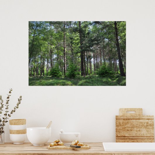 New Forest Landscape England Poster (Keuken)