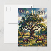 New Forest Nationaal Park VK Briefkaart (Voorkant / Achterkant)