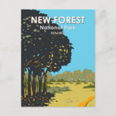 New Forest National Park England  Briefkaart (Voorkant)