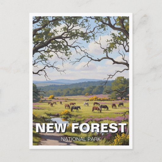 New Forest National Park Travel Briefkaart (Voorkant)