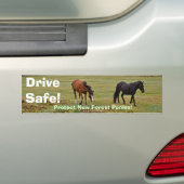 New Forest Ponies of Hampshire England Bumpersticker (Op auto)