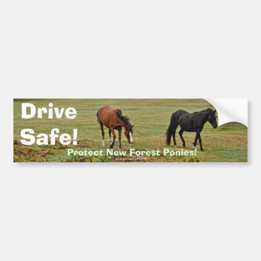 New Forest Ponies of Hampshire England Bumpersticker (Voorkant)