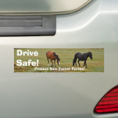 New Forest Ponies of Hampshire England Bumpersticker (Op auto)