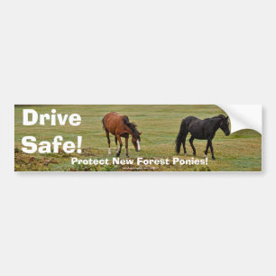 New Forest Ponies of Hampshire England Bumpersticker