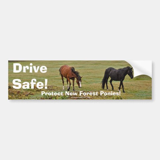 New Forest Ponies of Hampshire England Bumpersticker (Voorkant)