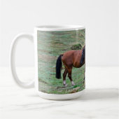 New Forest Ponies of Hampshire England Koffiemok (Links)