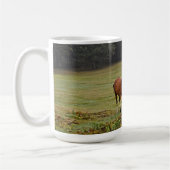 New Forest Ponies of Hampshire England Koffiemok (Links)