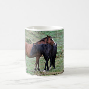 New Forest Ponies of Hampshire England Koffiemok