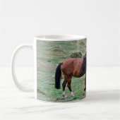 New Forest Ponies of Hampshire England Koffiemok (Links)