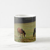 New Forest Ponies of Hampshire England Koffiemok (Center)