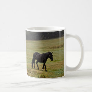 New Forest Ponies of Hampshire England Koffiemok