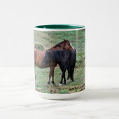 New Forest Ponies of Hampshire England Mok (Midden)