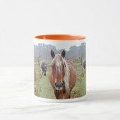 New Forest Ponies of Hampshire England Mok (Midden)