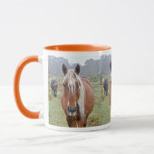 New Forest Ponies of Hampshire England Mok (Links)