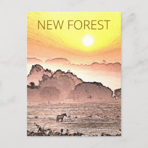 New Forest Pony bij zonsopgang Briefkaart