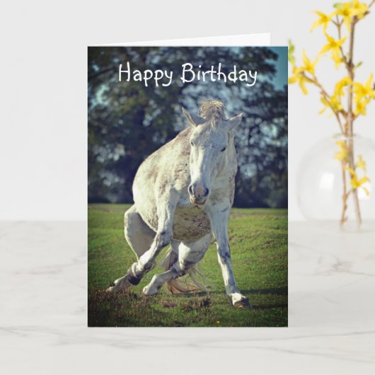 New Forest White Pony Funny Pose Verjaardag Kaart (Gele Bloem)