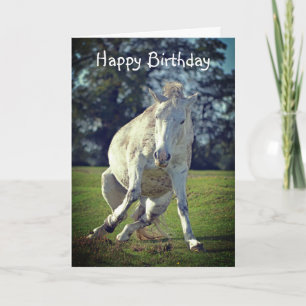 New Forest White Pony Funny Pose Verjaardag Kaart
