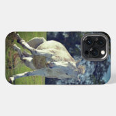 New Forest Witte Pony Grappige Pose iPhone Hoesje (Achterkant horizontaal)