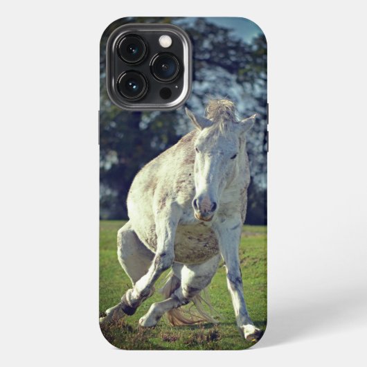 New Forest Witte Pony Grappige Pose iPhone Hoesje (Achterkant)