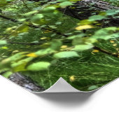 New Forest Woodland Trees Natuur Scene, Engeland Poster (Hoek)