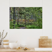 New Forest Woodland Trees Natuur Scene, Engeland Poster (Keuken)