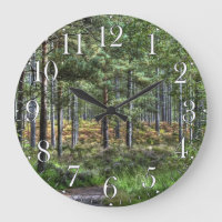 New Forest Woodland Trees Natuur Scene