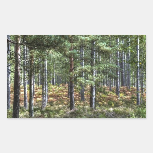 New Forest Woodland Trees Natuur Scene Rechthoekige Sticker (Voorkant)