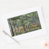 New Forest Woodland Trees Natuur Scene Rechthoekige Sticker (Envelop)