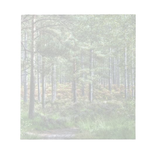 New Forest Woodlands HDR Photo Notitieblok (Voorkant)