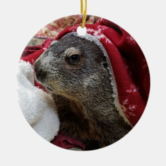 NEW! Groundhog Carrie Christmas Ornamant 2 Keramisch Ornament (Voorkant)