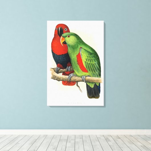 New Guinea Eclectus, parrots, Canvas Afdruk (Insitu (Houten vloer))
