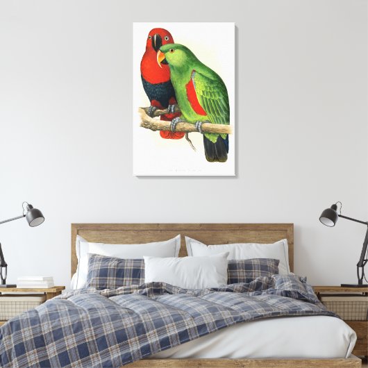 New Guinea Eclectus, parrots, Canvas Afdruk (Insitu (Slaapkamer))