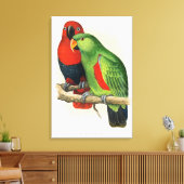 New Guinea Eclectus, parrots, Canvas Afdruk (Insitu (Woonkamer))